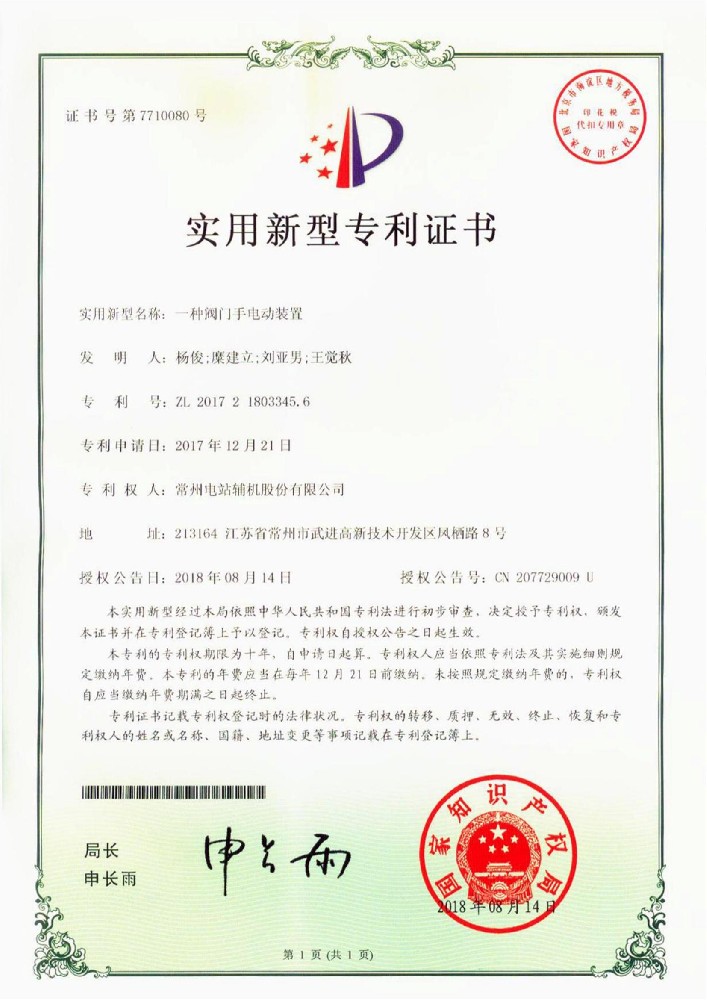 Utility model patent (17)