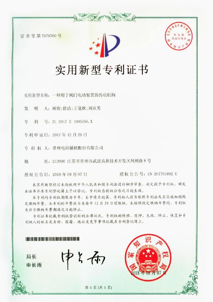 Utility model patent (19)