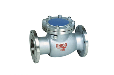 Swing Check Valve