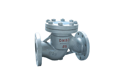 Lift Check Valve